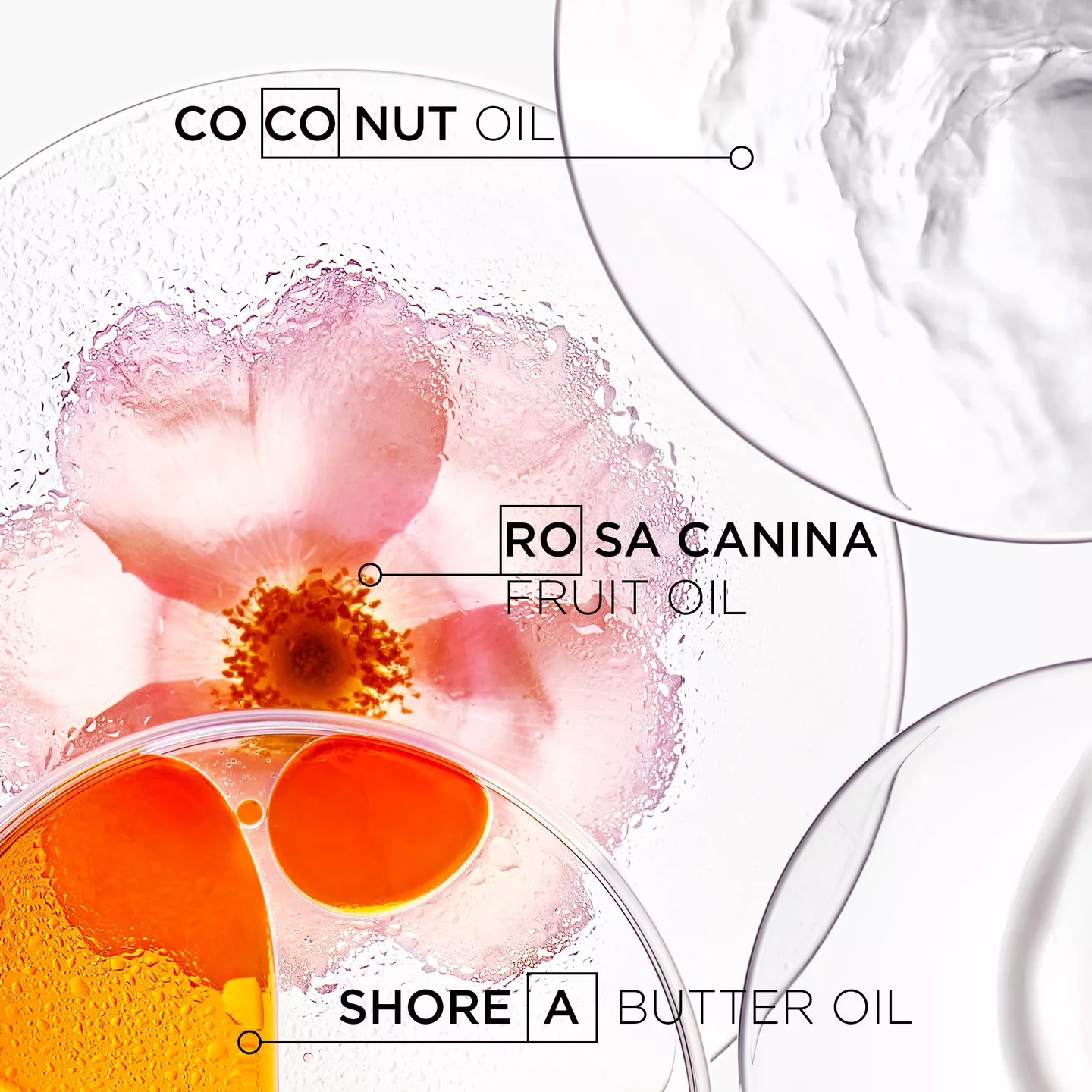 Discipline Masque Oléo-Relax Hair Mask - Image 4