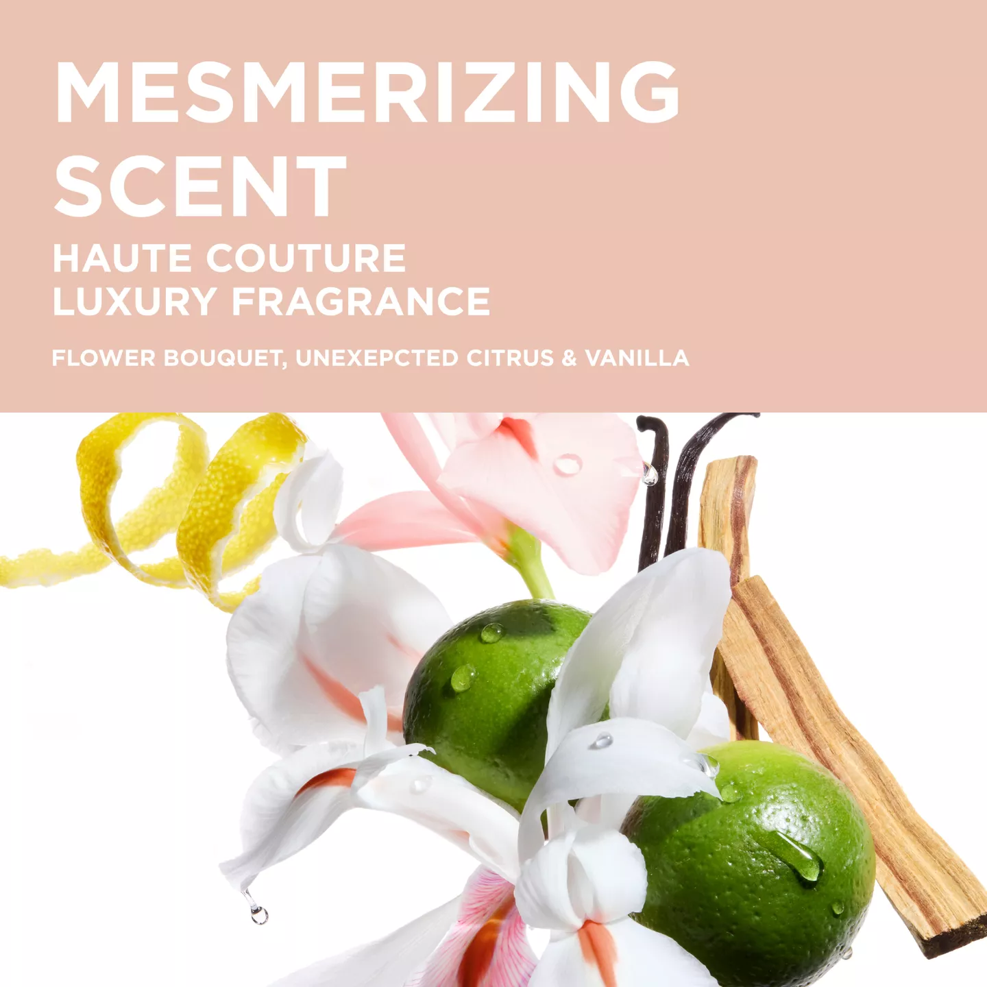 Gloss Absolu Crème Anti-Frizz Full Routine - Image 8